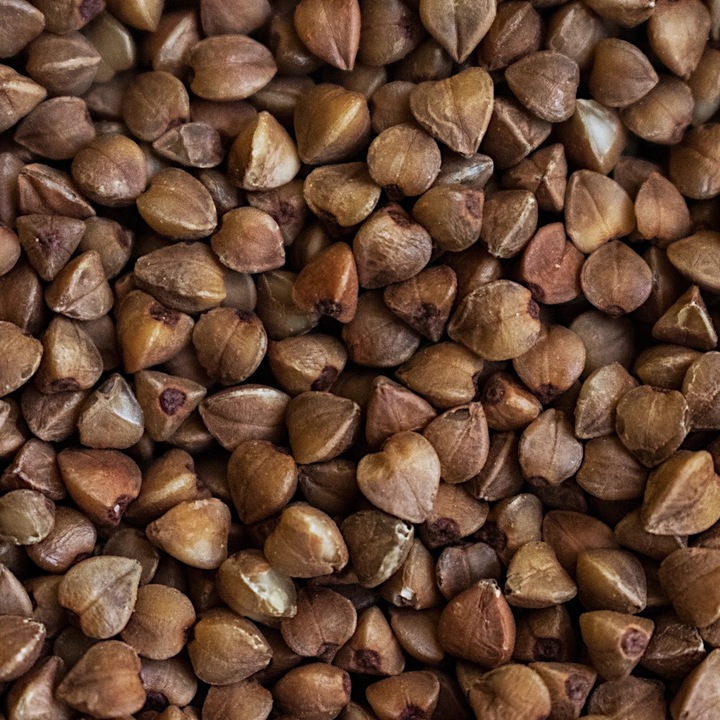 Seminte de hrisca, FN Granum, 1kg