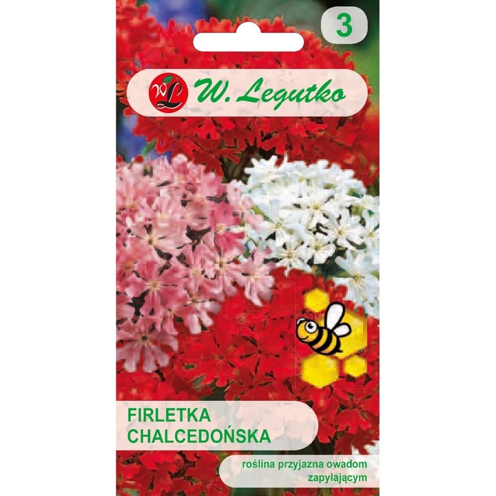 Seminte de gradina, Seminte flori Firletka chalcedonska, Legutko, amestec, rosu-cinabru/roz/alb, 0,2g, calitate superioara, seminte premium, seminte de top