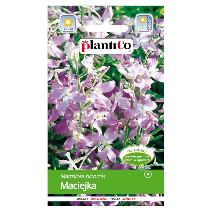 Seminte de gradina, Seminte Maciejka 5g, PlantiCo, planta anuala, parfum floral, 30-40cm, calitate superioara, seminte premium, seminte de top