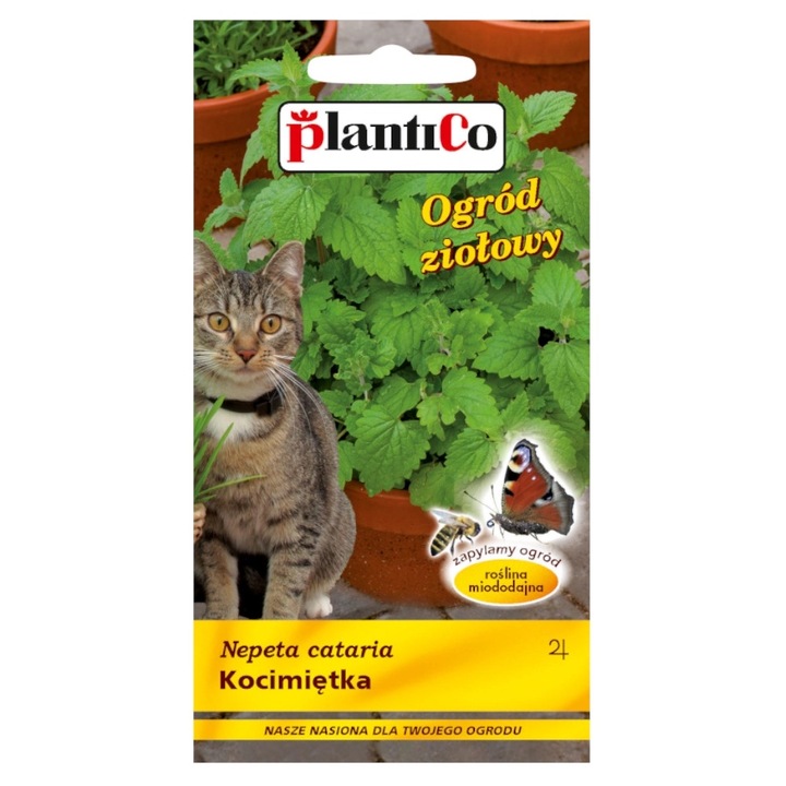 Seminte de catnip, Plantico, 0,5g, calitate superioara, perioada de plantare: Aprilie-Mai