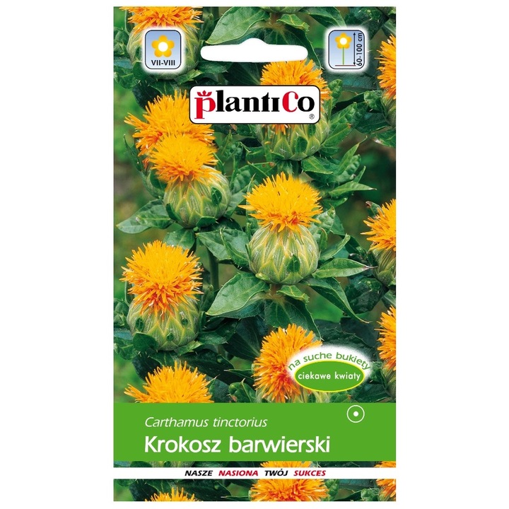 Seminte de gradina, Seminte flori Krokosz barwierski, 0,5g, galben-miere, inaltime 60-100cm, inaltime mare, calitate superioara, seminte premium, seminte de top