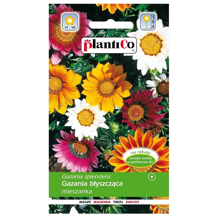 Seminte de gradina, Seminte PlantiCo, flori colorate, 30-40cm, 0.3 g, calitate superioara, seminte premium, seminte de top