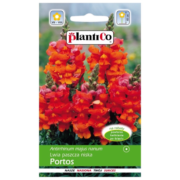 Seminte de gradina, Seminte flori, Plantico, 0,5g, Rosu, calitate superioara, seminte premium, seminte de top