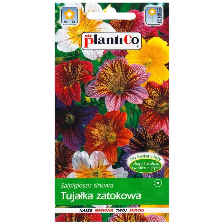 Seminte de gradina, Seminte flori, PlantiCo tujalka variabila, 0.5g, 60-80cm, multicolor, calitate superioara, seminte premium, seminte de top