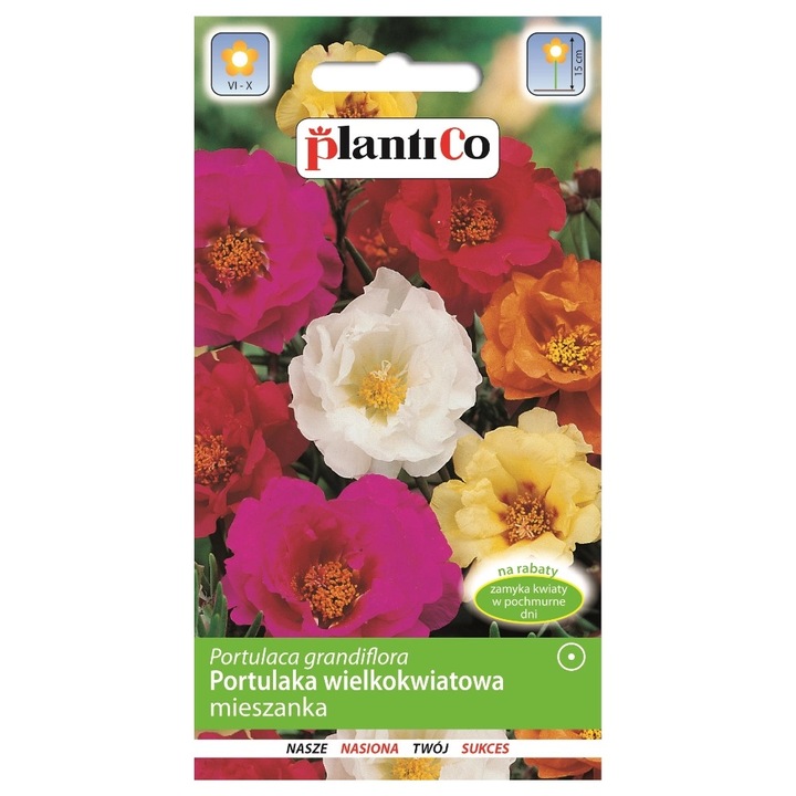 Seminte de gradina, Seminte Portulaca grandiflora, PlantiCo, Multicolor, 0.5 g, calitate superioara, seminte premium, seminte de top