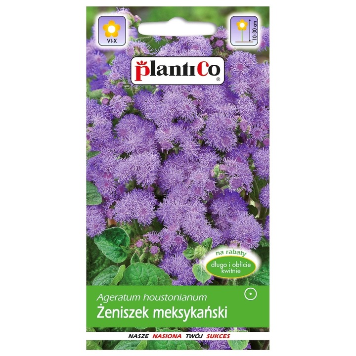 Seminte de gradina, Seminte Tetra Blue Mink, PlantiCo, 0.25 g, Violet, calitate superioara, seminte premium, seminte de top