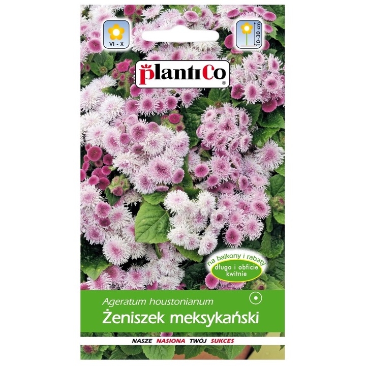 Семена от розова мексиканска тинтява, PlantiCo, 0,25гр