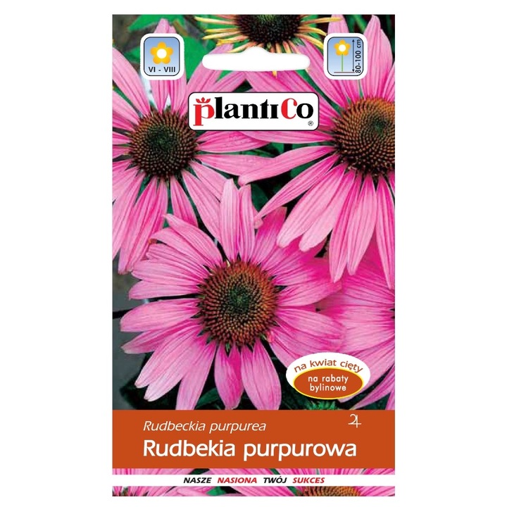 Seminte de gradina, Seminte flori Rudbekia purpurea, PlantiCo, 0,5g, flori roze, 80x100cm, calitate superioara, seminte premium, seminte de top
