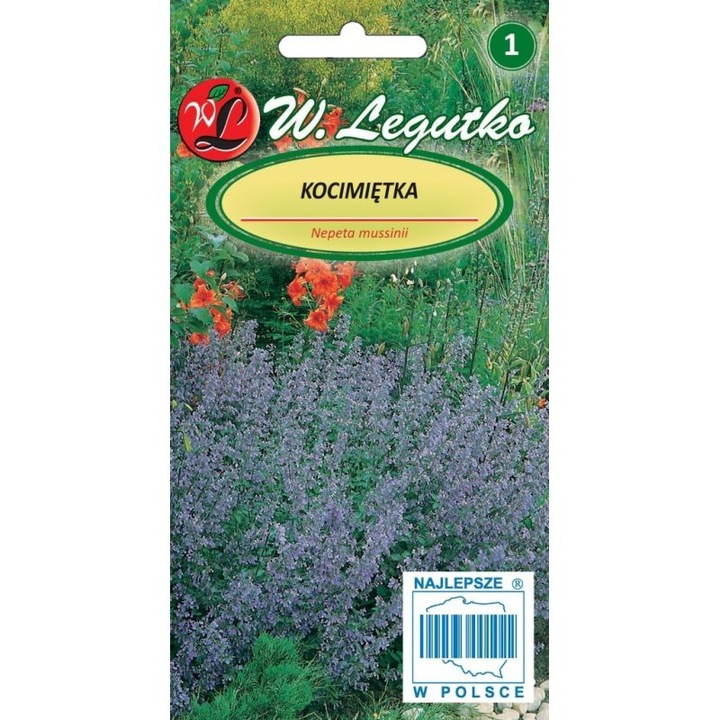 Seminte de gradina, Seminte plante aromatice, W. Legutko catusnica, 0.2g, flori albastre-violete, inaltime 30-40cm, inaltime mare, calitate superioara, seminte premium, seminte de top