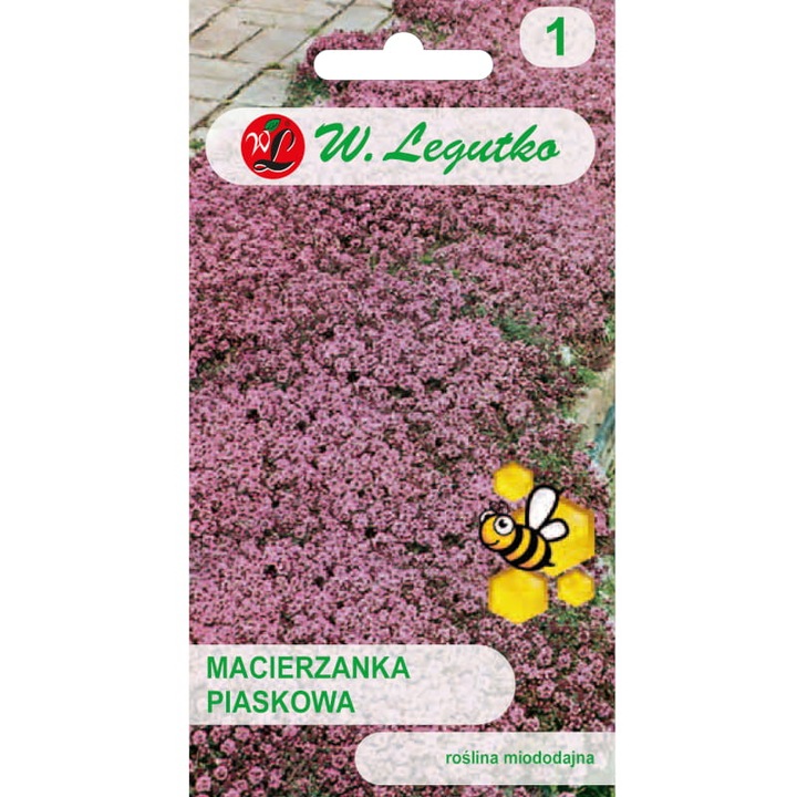 Seminte de gradina, Seminte Mflori, Legutko, 0.1g, perena, lila-roz, calitate superioara, seminte premium, seminte de top