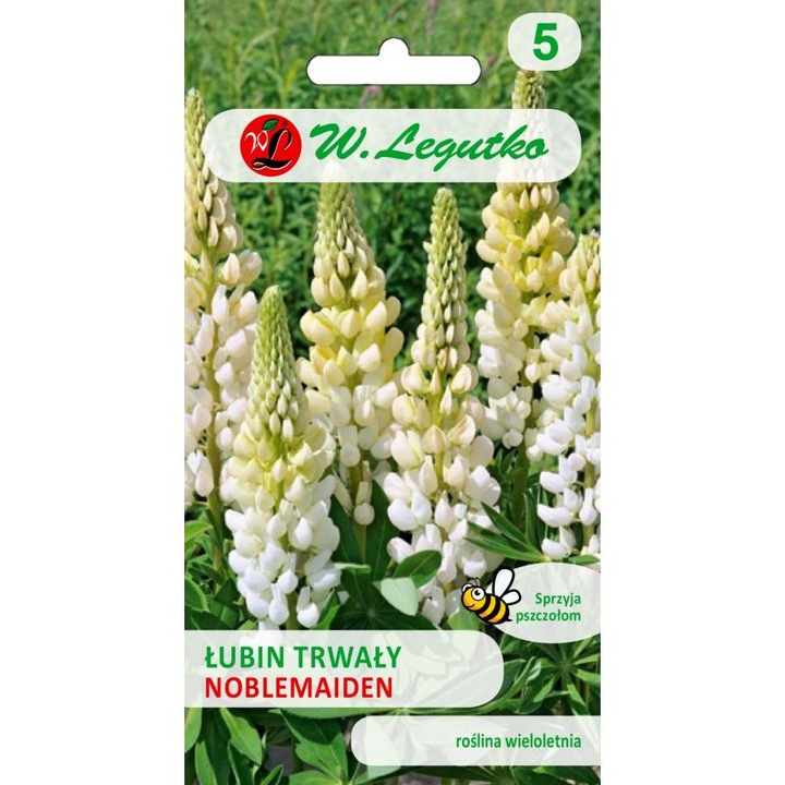 Vízitorma mag Russel Noblemaiden fehér, Legutko, 2g, magassága 80cm