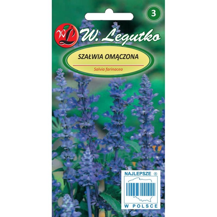 Seminte de gradina, Seminte flori, Legutko salvie farinacee, albastru inchis, 0.2g, calitate superioara, seminte premium, seminte de top