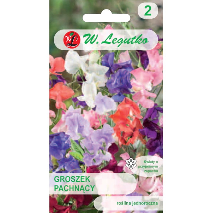 Seminte de gradina, Seminte Sweet Pea, Legutko, Cataratoare, Flori parfumate, 100-150 cm, 5 g, Multicolor, calitate superioara, seminte premium, seminte de top