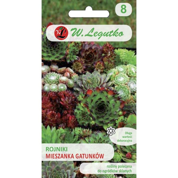 Seminte de gradina, Seminte Rojniki, Legutko, mix culori, 0.02g, calitate superioara, seminte premium, seminte de top