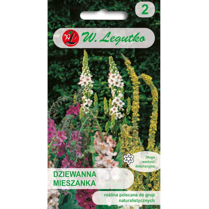 Seminte de gradina, Seminte flori Dziewanna amestec specii perene 0,1g, Legutko, inaltime 50x180cm, distanta 40x50cm, inaltime mare, calitate superioara, seminte premium, seminte de top