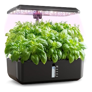 Ghivece si suporturi