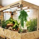 Set 2 Planta Artificiala de Fern Feicaeesa, 90cm, Material PE, Simulare Rezistenta la UV, Fara Necesitate de Intretinere, Potrivita pentru Decorul Interior