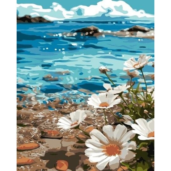 Pictura dupa numere - Cosmeya pe coasta 40x50