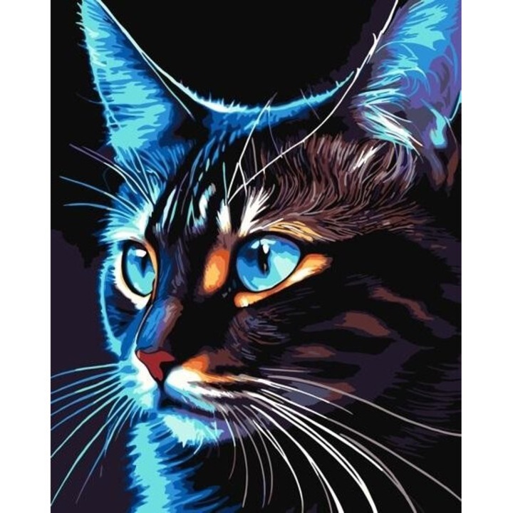 Pictura dupa numere - Cosmo-cat 40x50cm