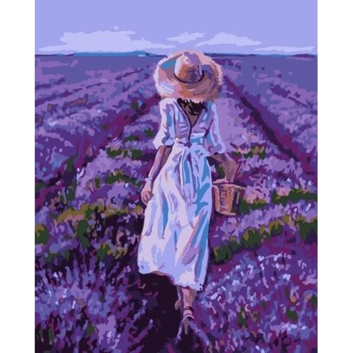 Pictura dupa numere - Camp de lavanda 40x50cm