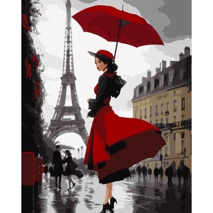Pictura dupa numere - Paris Rain 40x50cm