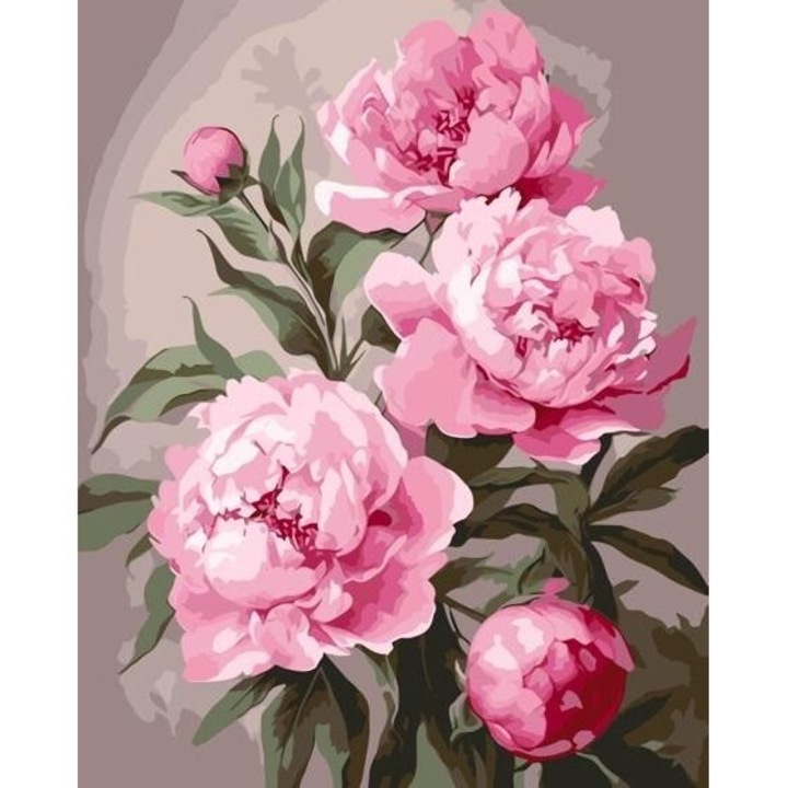 Pictura dupa numere - Bujor 40x50cm