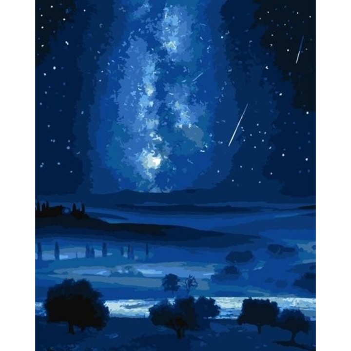 Pictura dupa numere - Calea Lactee 40x50cm