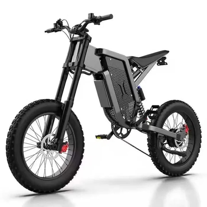 Електрически кросов мотор, EKX X21,2000W, 35AH/48V