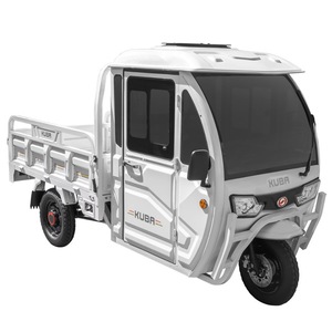 Alte vehicule electrice