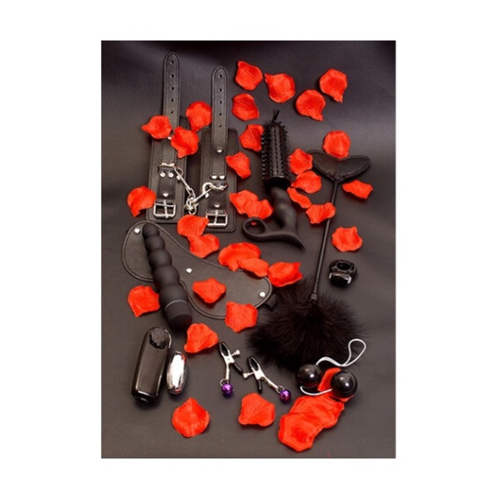 Комплект от 10 броя еротични аксесоари TOYJOY, включително белезници, вибратор, пръстен и топчета гейша, многоцветни