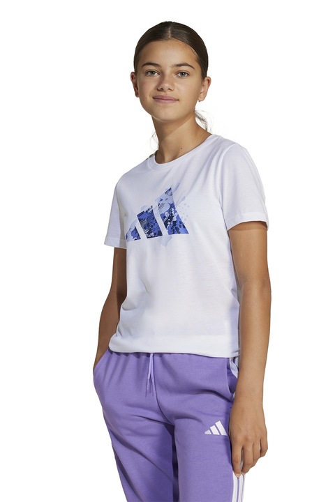 adidas Sportswear, Tricou regular fit cu imprimeu logo, Alb/Albastru
