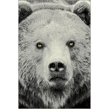 Covor Modern, Kolibri Urs, 120x170 cm, 2300 gr/mp, 1.2x1.7 Multicolor 120 x 170 Covor Modern, Kolibri Urs, 120x170 cm, 2300 gr/mp, 1.2x1.7 Multicolor 120 x 170