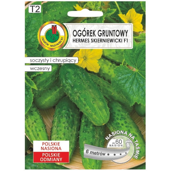 Seminte de castraveti Hermes Skierniewicki F1, PNOS, 60 seminte pe banda de 6m, verde, rezistenti la boli