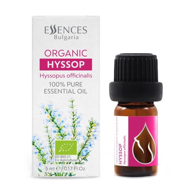 Ulei esential bio Isop impotriva respiratiei problematice in probleme respiratorii, 5ml