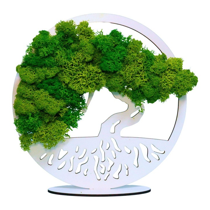 Tablou Bonsaiul Vietii, Licheni Naturali Stabilizati, Cu Suport, Verde, 15cm, DL001