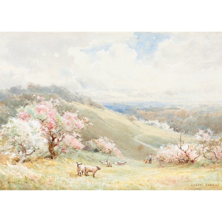 Tablou print pe canvas " Various 32 " 40x60 cm