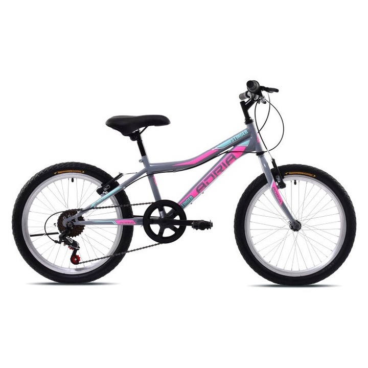 Adria Stinger 20" gyerek kerékpár Grafit-Lila