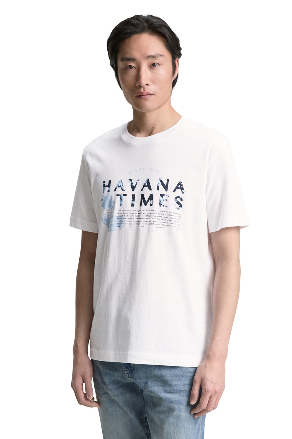 Tom Tailor, Tricou de bumbac cu imprimeu, Alb, S