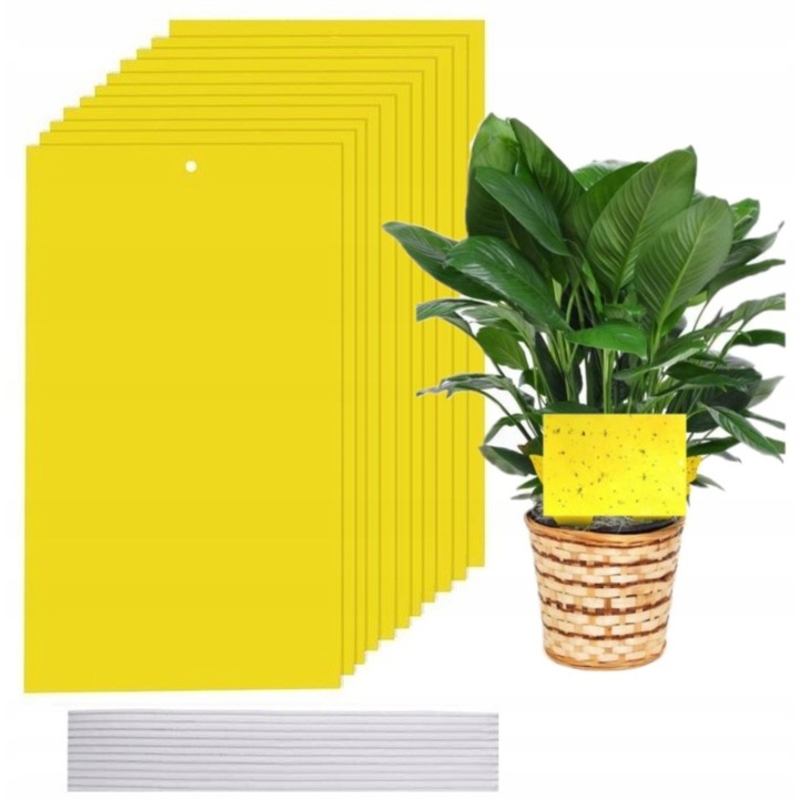 Set 10 capcane lipicioase pentru insecte, galbene, 20x10cm