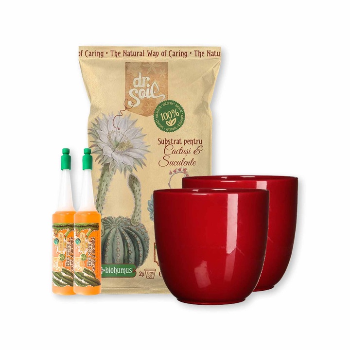 Pachet pentru ingrijirea cactusilor si suculentelor cu substrat natural pentru cactusi si suculente, suplimente de udare pentru cactusi si 2 masti de ghivece ceramice rosii cu diametrul de 8 cm