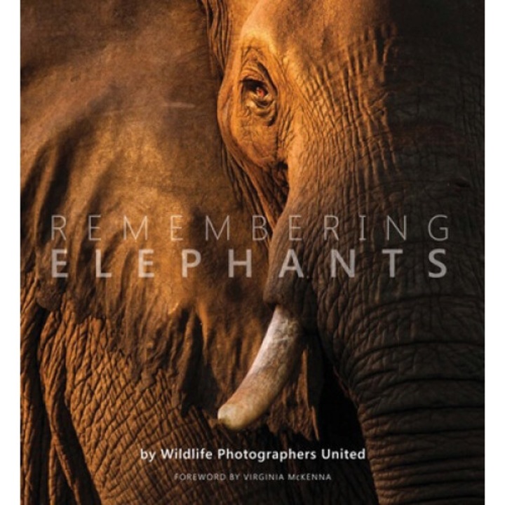Remembering Elephants - Margot Raggett