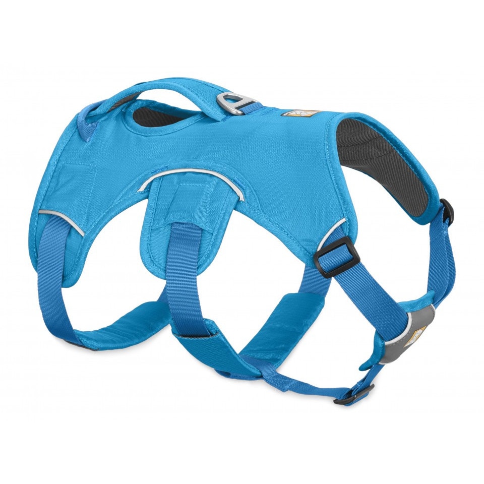 Ham Web Master - Ruffwear - Mar L/XL - Albastru