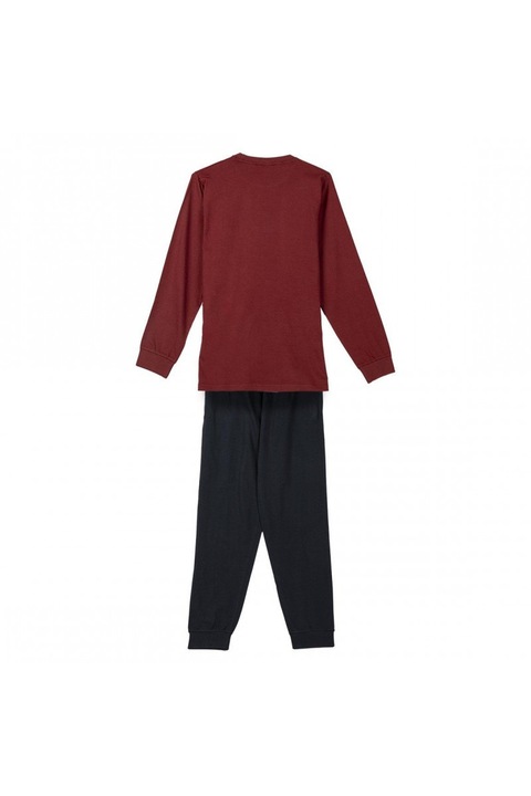 Pijamale Harry Potter Gryffindor, Team Captain M INTL