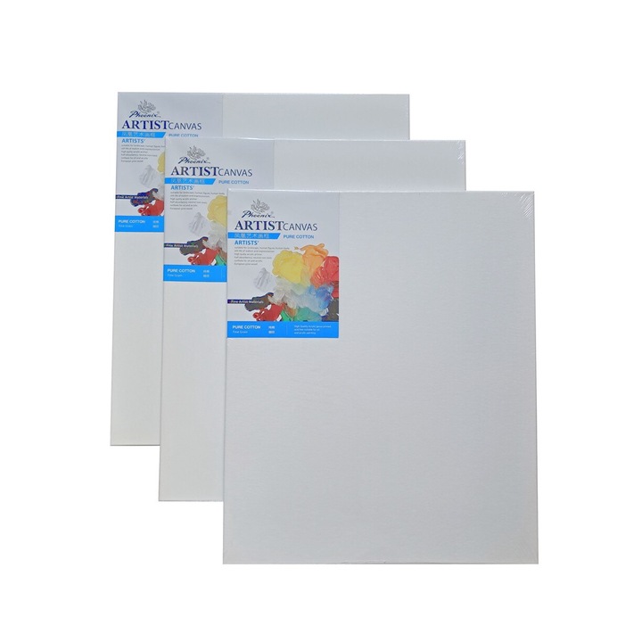 Set 3 panze pe sasiu Phoenix 50x60 cm, 300g/mp