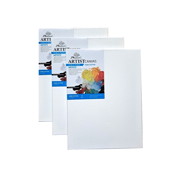 Set 3 panze pe sasiu Phoenix 40x50 cm, 300g/mp