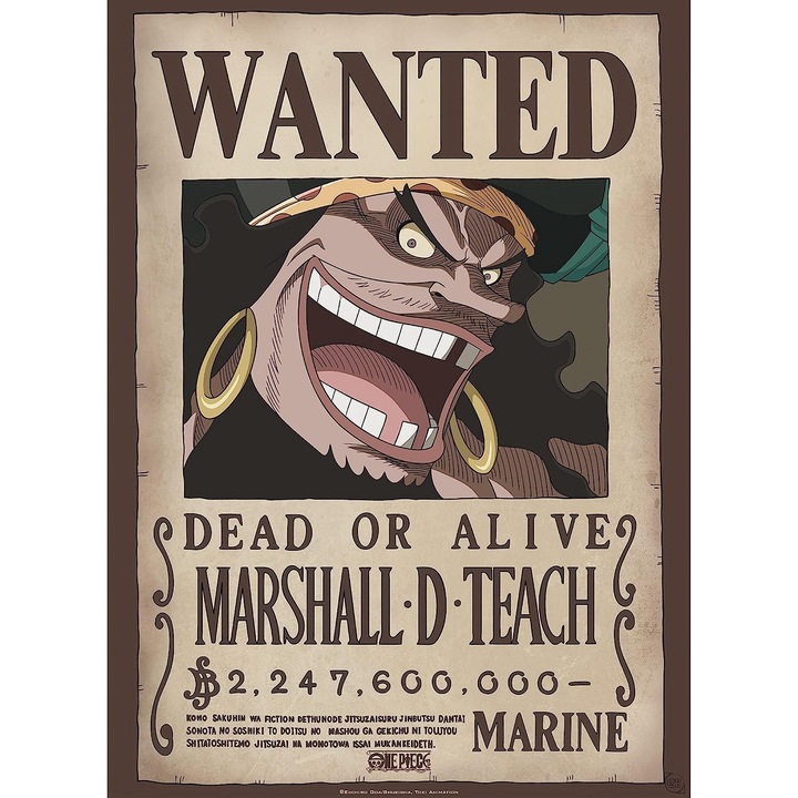 Poster - One Piece - Wanted Blackbeard, Multicolor, 38 x 52 cm
