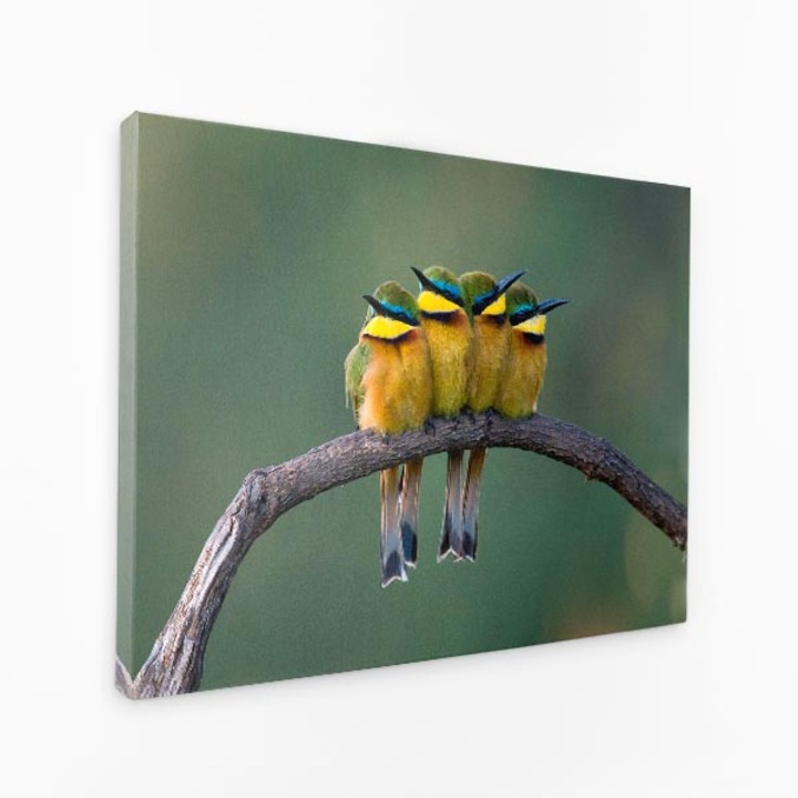 Картина на платно - птици, кацнали заедно, наблюдение на птици, природа, мир - 30x50 см