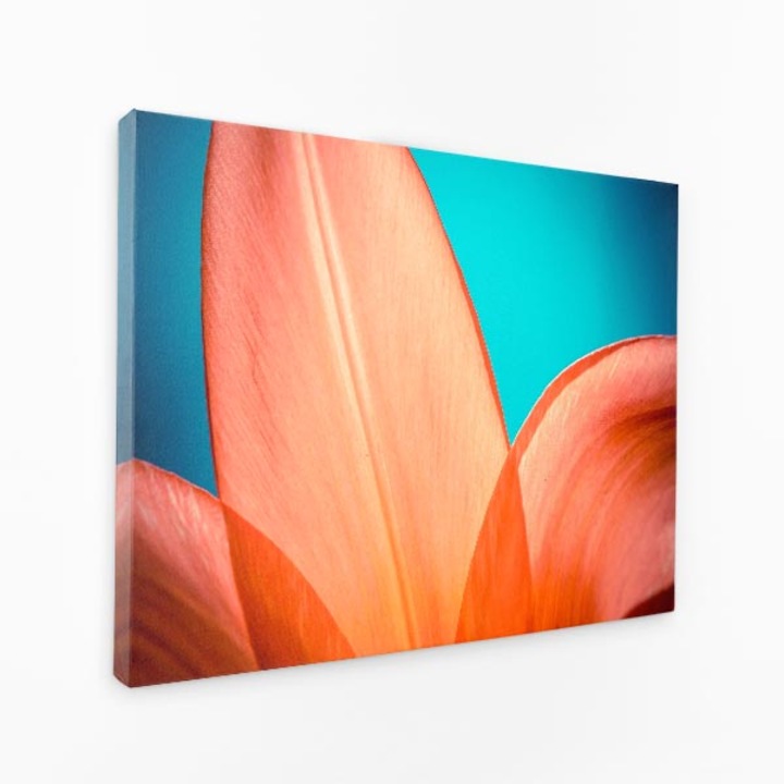 Комплект от три щампи на платно - цвят на живота оранжево небесно синьо - 150x100 см