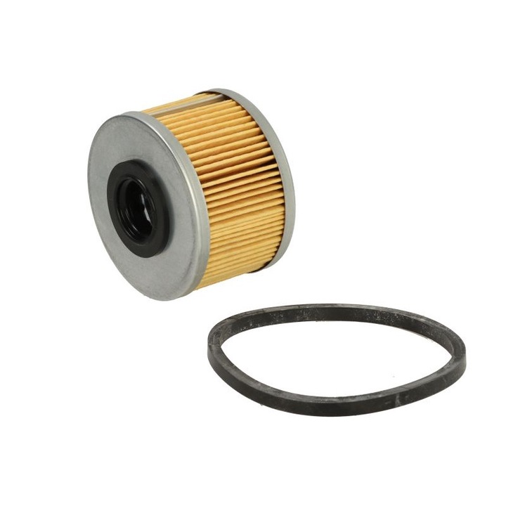 Filtru combustibil FILTRON Renault Clio I, Clio II, Clio II/hatchback, Kangoo, Kangoo Express, Laguna I, Megane I, Megane I Classic PM 815/1