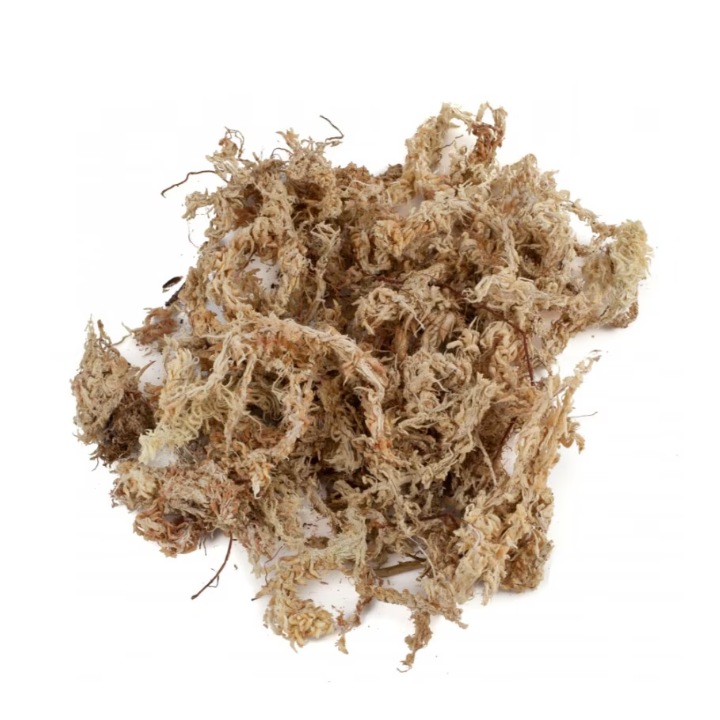 Prémium szárított Sphagnum Moss Chiléből 2 kg térfogat 95-100 liter
